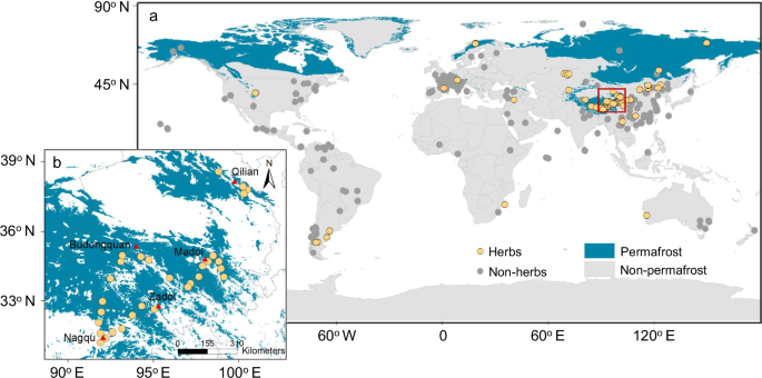 Characteristics of leaf nutrient resorption efficiency in Tibetan alpine permafrost ecosystems