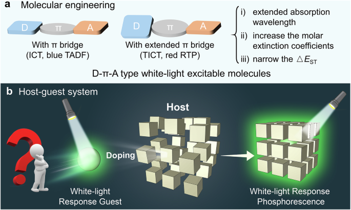 White light-excited organic room-temperature phosphorescence for improved in vivo bioimaging