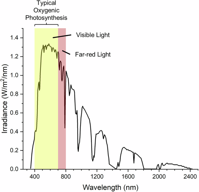 Investigations into cyanobacterial photoacclimation processes address longstanding proposals for improving crop yields