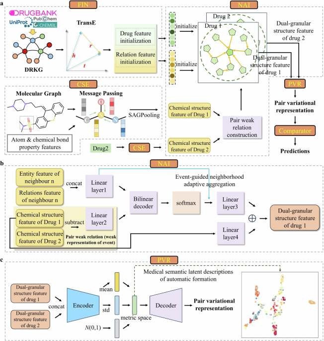 Predicting rare drug-drug interaction events with dual-granular structure-adaptive and pair variational representation