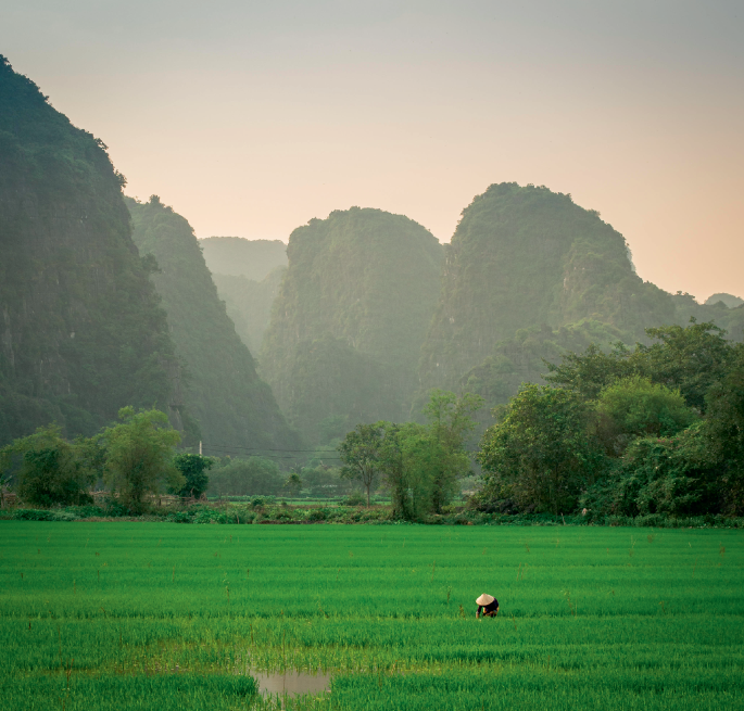 Effect of climate pledges on croplands