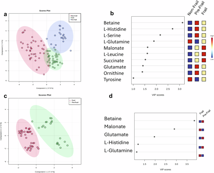 1H-NMR-based metabolomics identifies disrupted betaine metabolism as distinct serum signature of pre-frailty