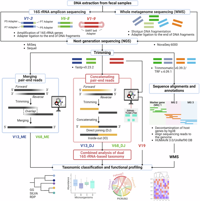 Refining microbiome diversity analysis by concatenating and integrating dual 16S rRNA amplicon reads