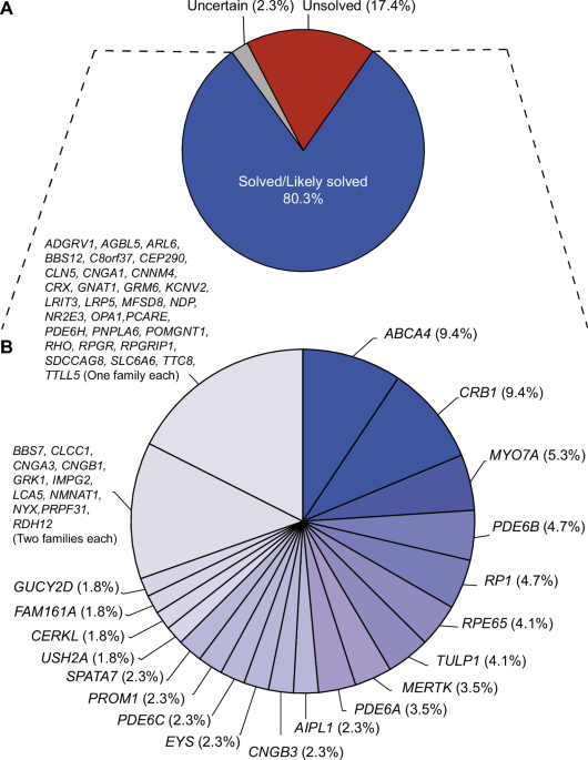 A comprehensive genetic landscape of inherited retinal diseases in a large Pakistani cohort