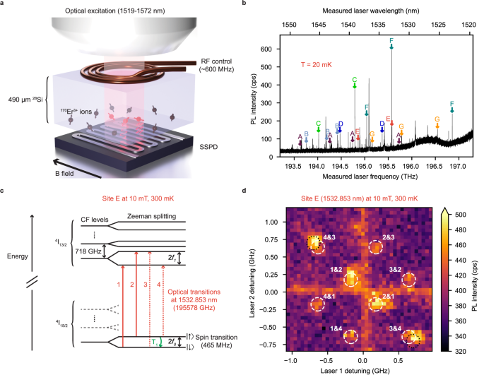 Long optical and electron spin coherence times for erbium ions in silicon