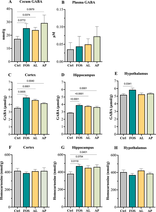 Fructooligosaccharides and Aspergillus enzymes increase brain GABA and homocarnosine by modulating microbiota in adolescent mice