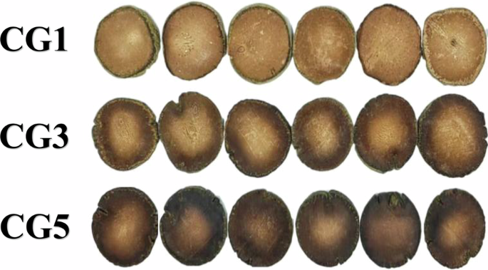 Key metabolic pathways of the aging process of Citri Grandis Exocarpium and its identified potential metabolites associated with antioxidant activity