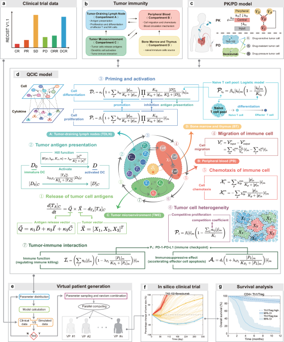 Quantitative cancer-immunity cycle modeling for predicting disease progression in advanced metastatic colorectal cancer