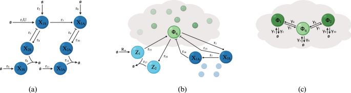 Biochemical implementation of acceleration sensing and PIDA control