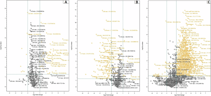 Comprehensive HRMS-screening for persistent, mobile, and toxic compounds in first flush urban stormwater