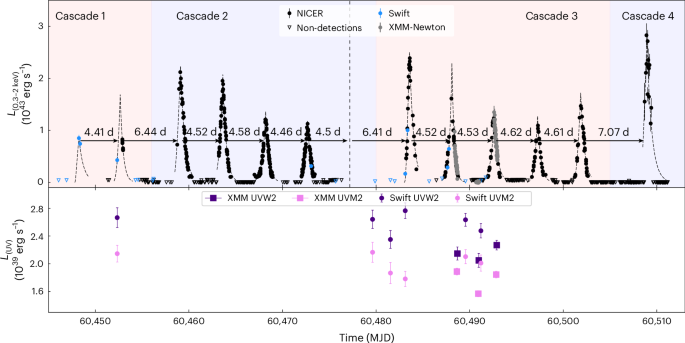 Discovery of extreme quasi-periodic eruptions in a newly accreting massive black hole