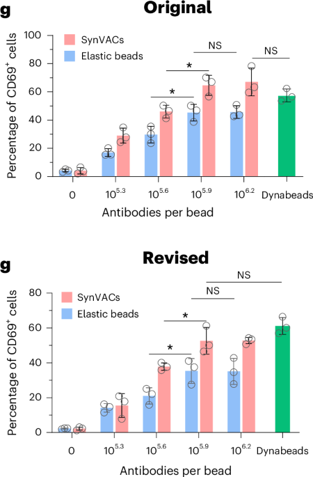 Author Correction: Viscoelastic synthetic antigen-presenting cells for augmenting the potency of cancer therapies