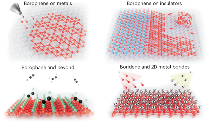 Progress and future directions in borophene research