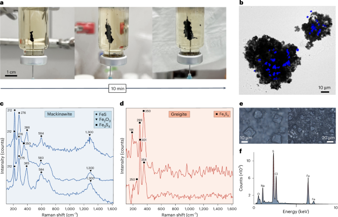 Simulated early Earth geochemistry fuels a hydrogen-dependent primordial metabolism