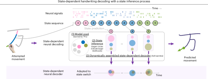 Neural encoding of handwriting in the human motor cortex