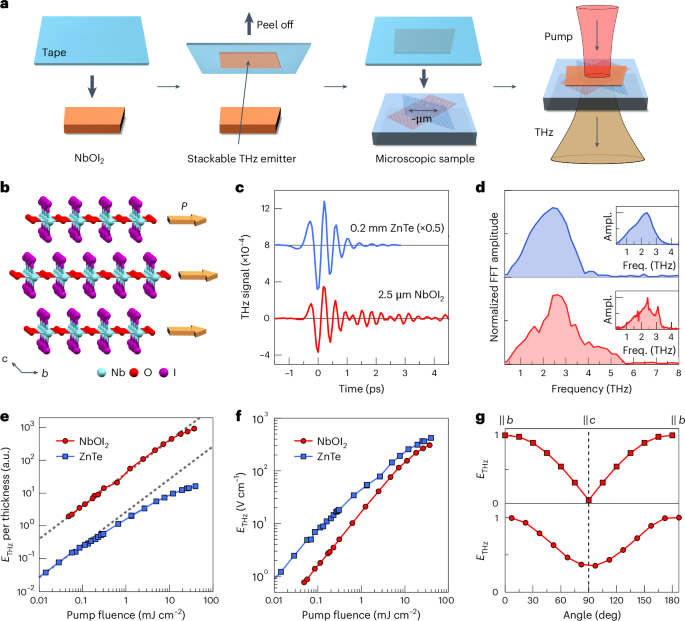 Terahertz emission from giant optical rectification in a van der Waals material