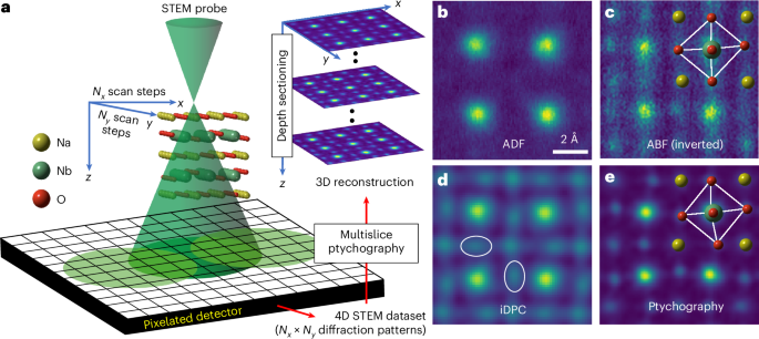 Electron ptychography reveals a ferroelectricity dominated by anion displacements