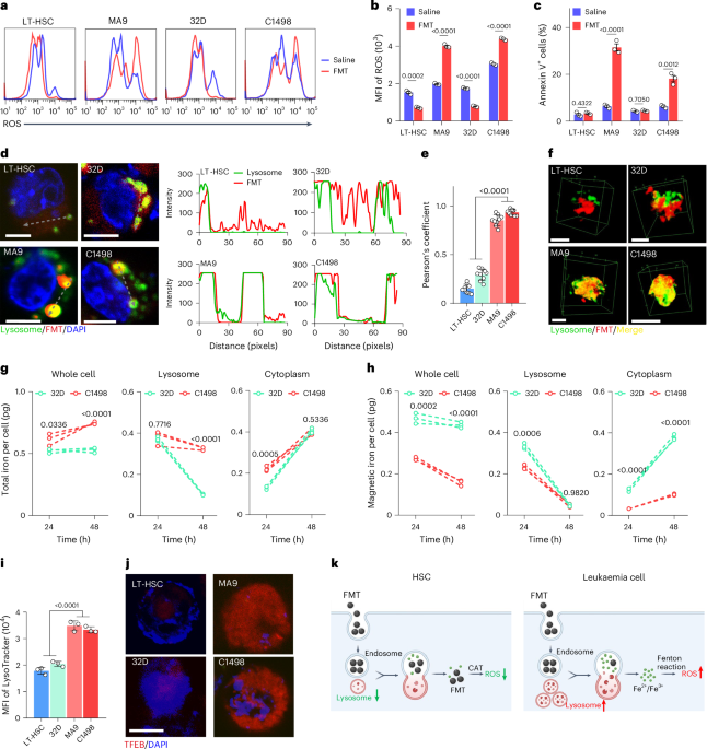 Ferumoxytol promotes haematopoietic stem cell post-injury regeneration as a reactive oxygen species scavenger