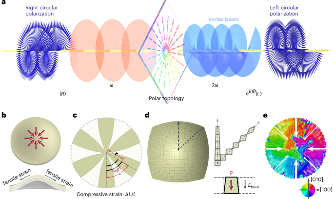 Ferroelectric topologies in BaTiO3 nanomembranes for light field manipulation
