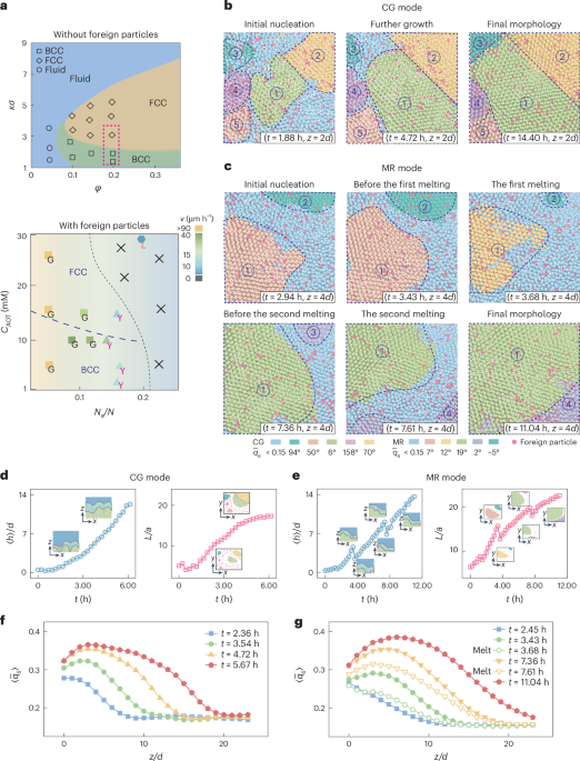 Impact of impurities on crystal growth
