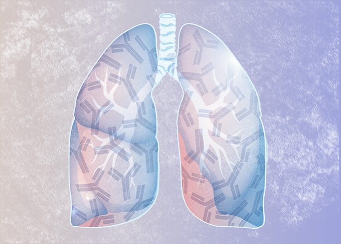 Lung-resident memory B cells class-switch to IgE