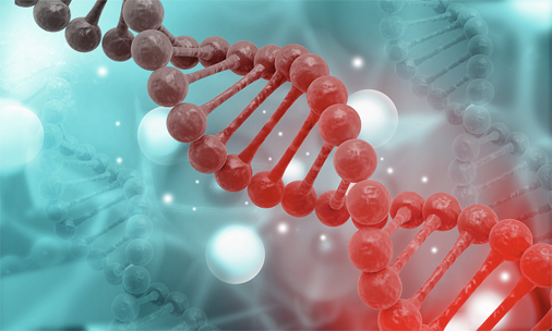 Association of LILRB3 variants with kidney transplant failure in African Americans