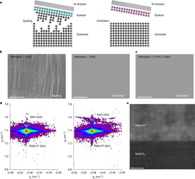 Atomic lift-off of epitaxial membranes for cooling-free infrared detection