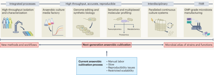 Enabling next-generation anaerobic cultivation through biotechnology to advance functional microbiome research