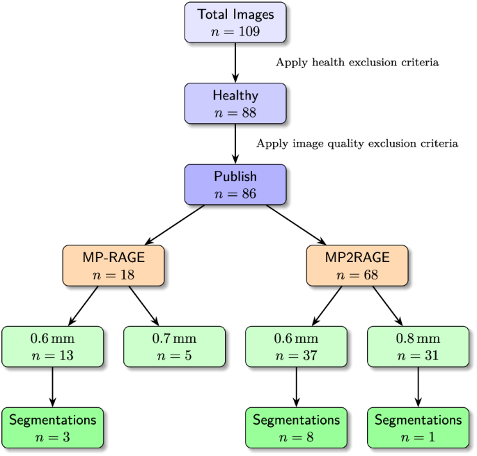 Submillimeter Ultra-High Field 9.4 T Brain MR Image Collection and Manual Cortical Segmentations