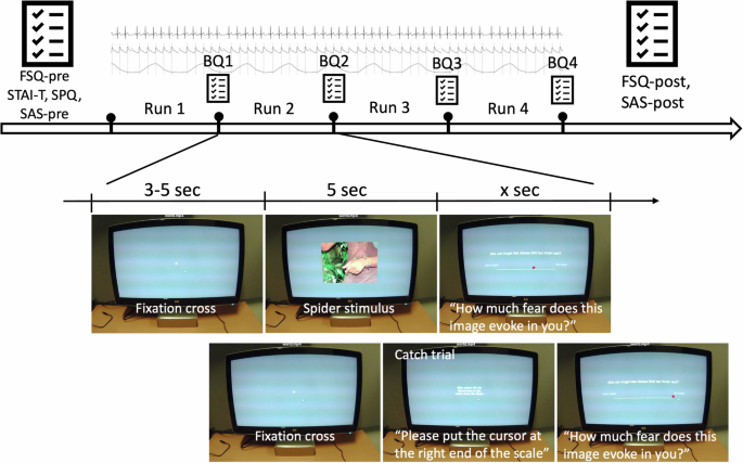 SpiderPhy dataset: A multimodal dataset of Physiological, Psychometric and Behavioral Responses to fear stimuli
