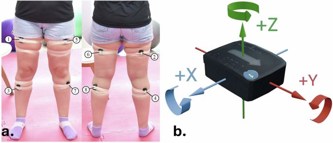 A Knee Rehabilitation Exercises Dataset for Postural Assessment using Wearable Devices