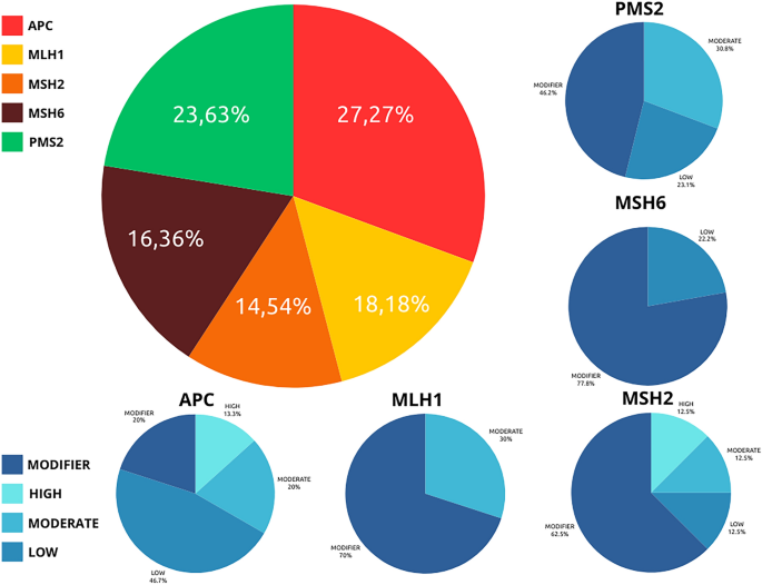 Identification of genomic variants associated with colorectal cancer heredity in indigenous populations of the Amazon