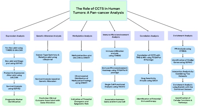 Pan-cancer analysis reveals immunological and prognostic significance of CCT5 in human tumors