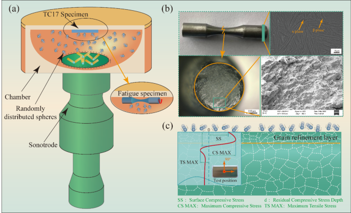 The influence of ultrasonic shot peening on the microstructure and fatigue behavior of TC17 alloy