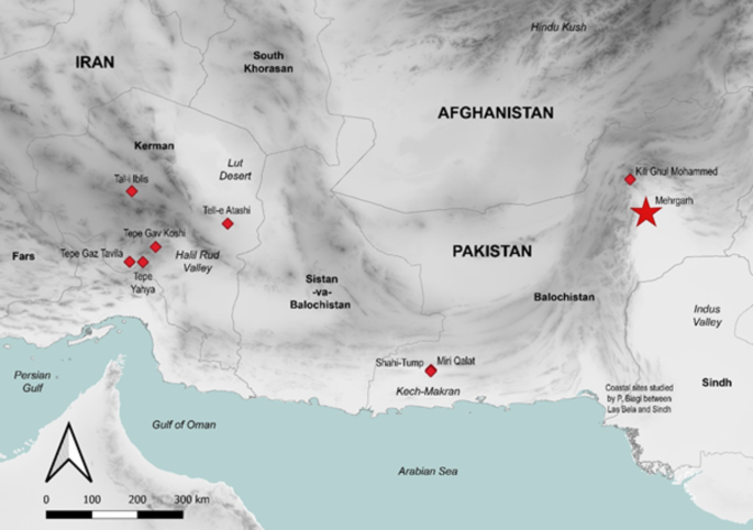 New radiocarbon dates of human tooth enamel reveal a late appearance of farming life in the indus Valley