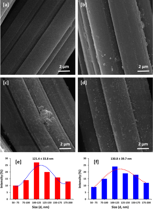 Immobilization of silver nanoparticles and silver iodide within bamboo fabrics for wastewater treatment