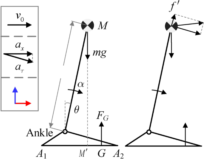 The improved extrapolated center of mass enhances the safety of exoskeleton system