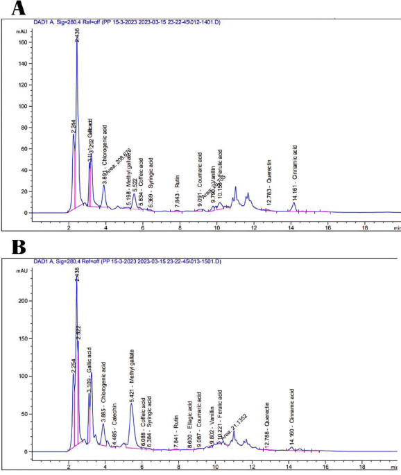 Nanoparticles of banana peels as a potential source of bioactive compounds and their activities on HepG2