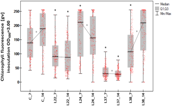 The influence of polysiloxane functional groups on phototrophic colonization