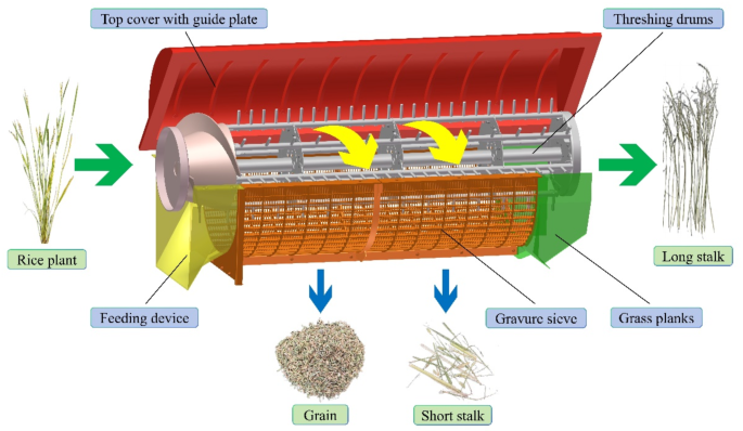 Discrete element simulation optimization design and testing of low-damage flexible drum threshing elements suitable for high-quality seed harvesting