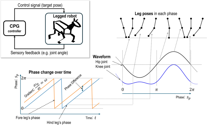 Hierarchical reinforcement learning with central pattern generator for enabling a quadruped robot simulator to walk on a variety of terrains