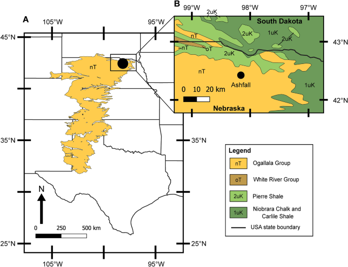 Enamel carbon, oxygen, and strontium isotopes reveal limited mobility in an extinct rhinoceros at Ashfall Fossil Beds, Nebraska, USA