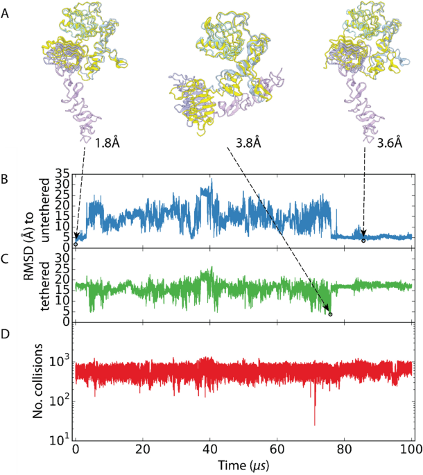 Design of immunogens to present a tumor-specific cryptic epitope
