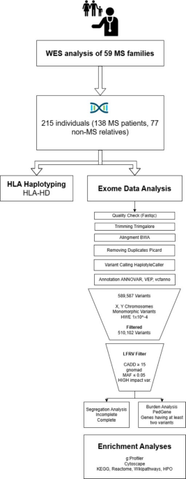 Exome sequencing reveals low-frequency and rare variant contributions to multiple sclerosis susceptibility in Turkish families
