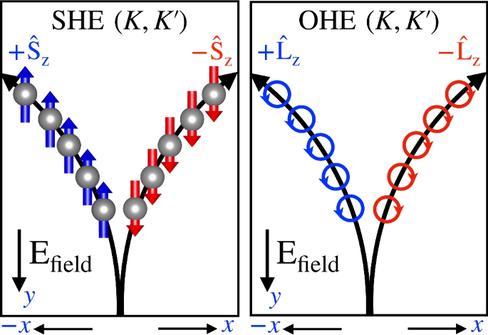 Orbital Hall conductivity in a Graphene Haldane and Haldane Haldane bilayers