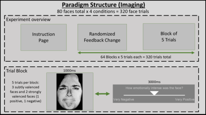 Somatosensory false feedback biases emotional ratings through interoceptive embodiment