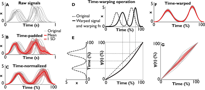 Time-warping analysis for biological signals: methodology and application