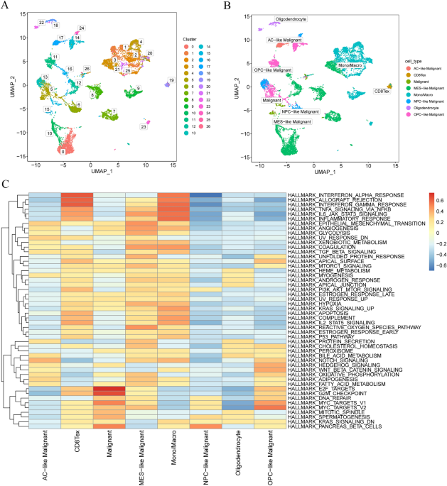 A spatial transcriptomics study of MES-like and mono/macro cells in gliomas