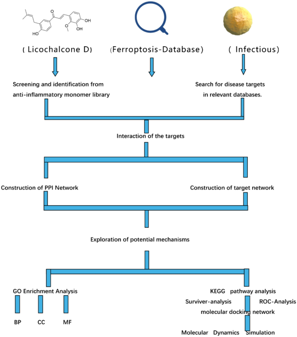 Exploration potential sepsis–ferroptosis mechanisms through the use of CETSA technology and network pharmacology