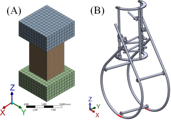 Innovative approach in the treatment of comminuted proximal phalanx fractures in horses based on biomechanical modelling